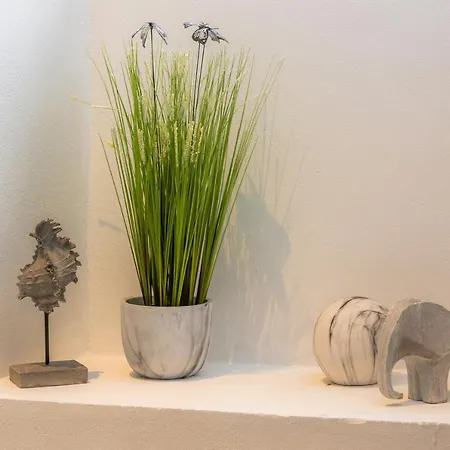Apartment Roses Moscari